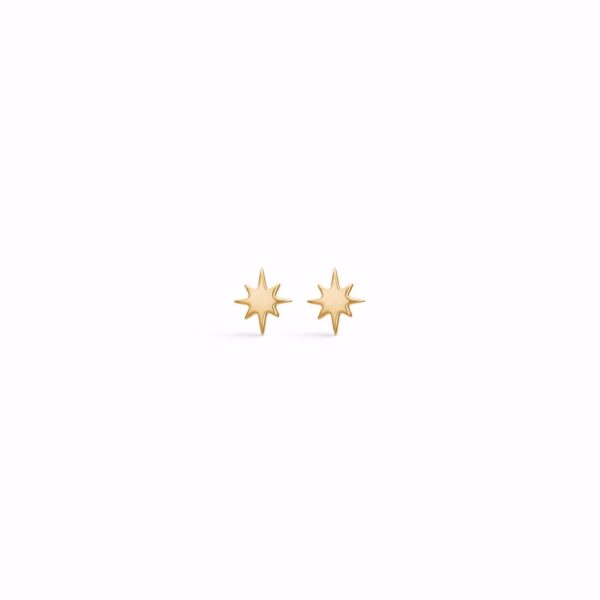 seville-jewelry-stjerne-oresikker-guld
