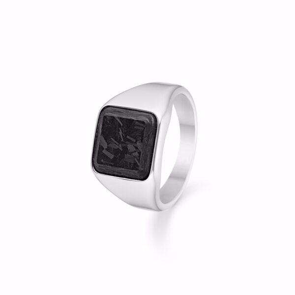 Herre signet ring i stål sort sten 2643