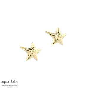 Aqua Dulce ASTRA STAR - 6mm Stjerne øreringe forgyldt 5912