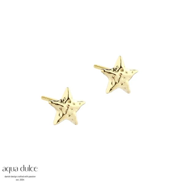 Aqua Dulce ASTRA STAR øreringe forgyldt 5912