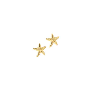 Aqua Dulce STELLA øreringe 10mm forgyldt 6154