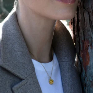 Flora Danica - Dild halskæde forgyldt sølv DF-Ne-G