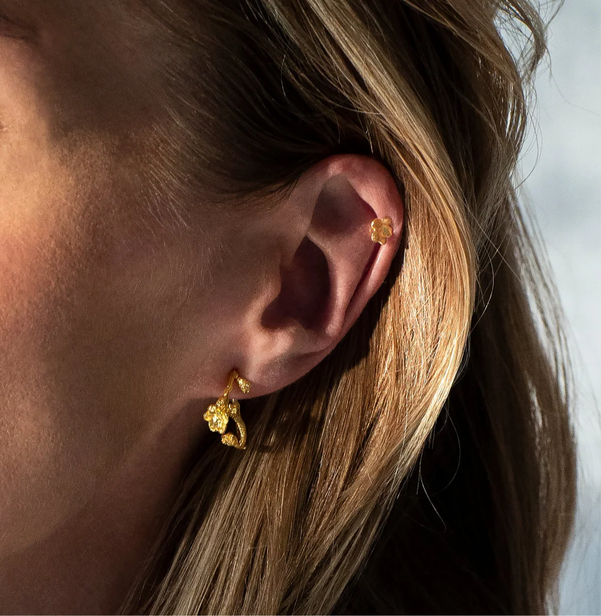 Flora Danica - Forglemmigej hoop øreringe forgyldt FMN-HoPc-G - Billede 3