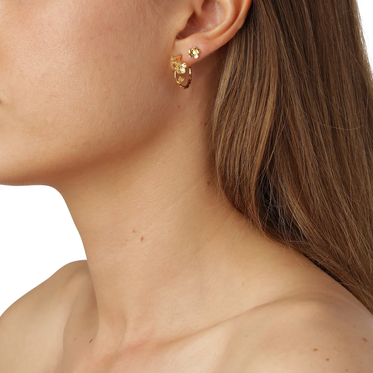 Flora Danica - Forglemmigej hoop øreringe forgyldt FMN-HoPc-G - Billede 2