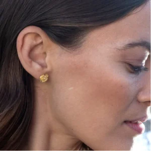 Flora Danica - Persille ørestikkere forgyldt sølv PAR-StPc-G